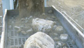 Small_rubberscalping1_176x100